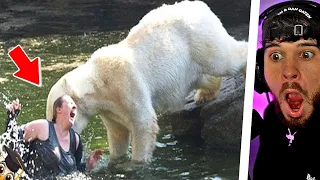 10 DÜMMSTEN Besucher im ZOO