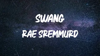 Rae Sremmurd - Swang [Lyric Video]