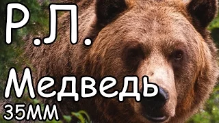 Реакции летсплейщиков в 35ММ #1 Медведь