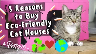 5 Reasons to Buy Eco-Friendly Cat Houses