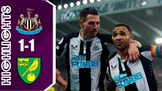 Newcastle United vs Norwich City 1-1 Highlights | Premier League - 2021/2022