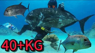 MONSTER TREVALLY || SPEARFISHING PHILIPPINES!😱 || 40+KG IN A DIVE!