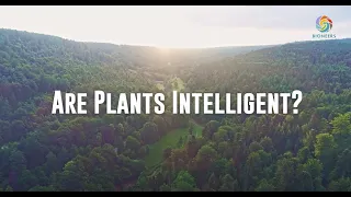 Are Plants Intelligent? - Kenny Ausubel, Jeremy Narby
