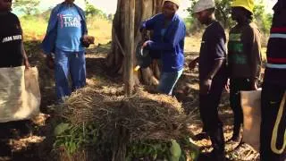 Black Gold: The Secrets of Compost,  Garden Africa