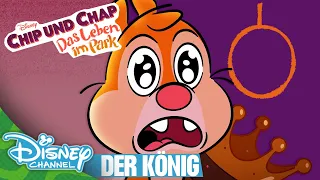 Chap, der König | Chip und Chap: Das Leben im Park