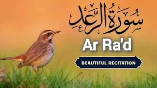 Surah Ar Ra'd | Ar Rad | Surah Rad