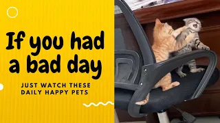 If you had a bad day, just watch these daily happy pets | Day 7