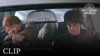 The Flying Ford | Harry Potter and the Chamber of Secrets