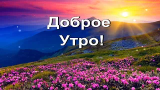 Доброе утро! Хорошего настроения и улыбок на весь день!☀️