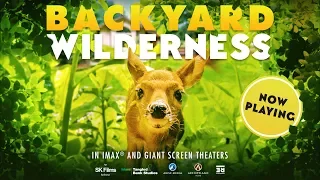 Backyard Wilderness OFFICIAL TRAILER - NOW PLAYING on IMAX®/Giant Screens