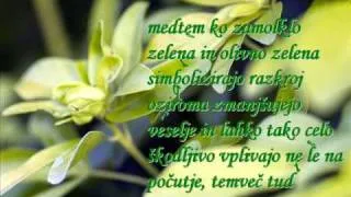 Zeleno ki te ljubim -Zelena je moja dolina -RANDEZ VOUZ