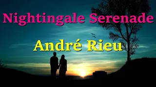 아름다운 연주곡💖André Rieu🎧Nightingale Serenade (Toselli Serenade)