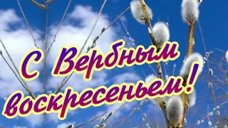 С Вербным воскресеньем!  Это тебе вербочка!