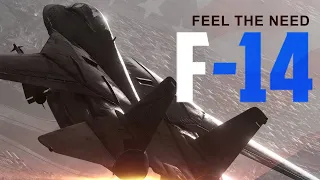 DCS F-14: The Need for Speed