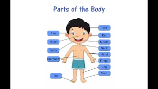LKG || GK || Parts of the Body