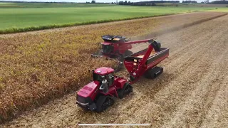 First week of Illinois Corn Harvest 2023, Picking Derecho Downed Corn Season 4 Episode 24