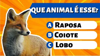 🐾 ADIVINHE QUAL É O ANIMAL - QUIZ ANIMAL - Teste seu conhecimentos com este quiz sobre animais!