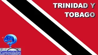 15 Curiosities of Trinidad and Tobago 🇹🇹 EVERYTHING YOU NEED to know