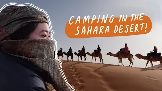 Day 7: Sahara Desert camping and camel riding | G Adventures Highlights of Morocco