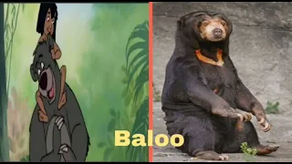 The jungle book characters in real life