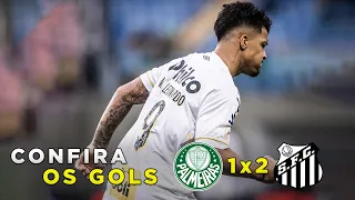 Confira os gols | Palmeiras 1x2 Santos | Peixe vence de virada fora de casa | 09/10/2023