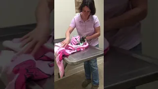 skill9 cat towel technique