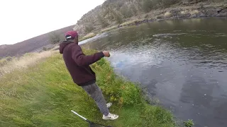 Fly fishing big trout crooked River