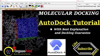 AutoDock Tutorial || Molecular Docking || Best and Easy Way ||