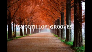 Smooth Lofi Grooves: Chill Hip Hop Beats