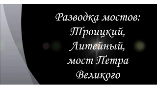 Три моста: Троицкий, Литейный, мост Петра Великого