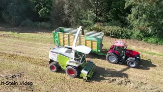 Grasernte 2021 häckseln & silieren - Grassilage für BGA /  Case  Steyr  CLAAS 860  german farmers