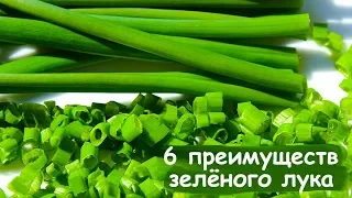 6 ПРИЧИН есть ЗЕЛЁНЫЙ ЛУК. Неоценимая ПОЛЬЗА