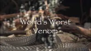 Worlds Worst Venom   promo