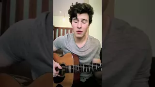 shawn mendes— isn't she lovely.