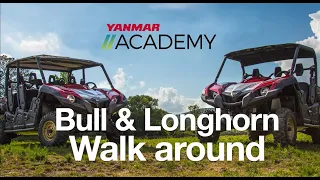 YANMAR Bull & Longhorn Series UTV Walkaround