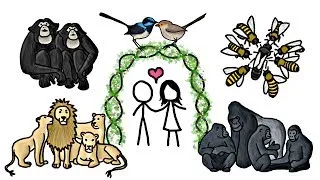 Are any Animals Truly Monogamous?