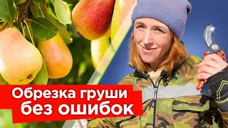 ОБРЕЗКА ГРУШИ ВЕСНОЙ: снижаем крону и увеличиваем урожайность! Простые приемы обрезки груши