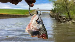 Fishing For SPILLWAY MONSTERS!!! (Big Fish After Big Fish!)