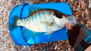 CREEK CRAPPIE Fishing From THE BANK DURING THE ARTIC BLAST🥶 JAN 2024‼️