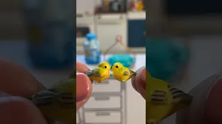 Mini Verse Warbler Birdbath! 💛 #miniverse #miniversehome2 #warbler #miniatures