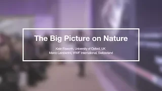AM18 Global Situation Space | The Big Picture on Nature