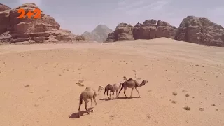 Життя у пустелі