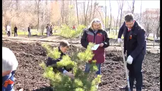 217 деревьев - Скверу Победы