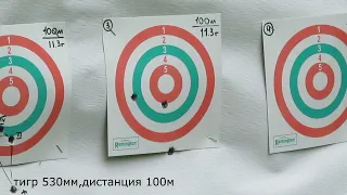 Тигр 7.62х54 530мм Сравнение патронов  БПЗ 9.6 и БПЗ 11.3 на кучность