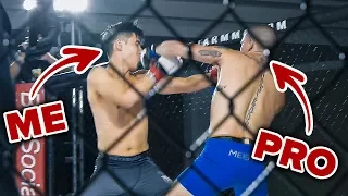 I Trained To Become An MMA Fighter In 4 Months