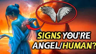 7 Signs You're an Angel in a Human Body✨ Dolores Cannon