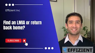 Find an LMIA or return back home?