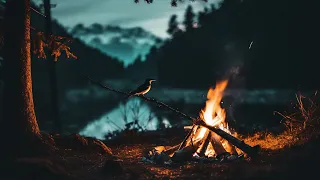 Fall Asleep in 10 minutes with camp fire sounds at the edge of the lake