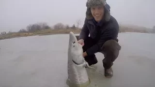 Ice Fishing for HUGE Sturgeon + Catch n' Cook Sturgeon Over an Open Fire!