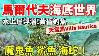 🇲🇻馬爾代夫自由行Ep3🏝 ｜出現鯊魚🦈魔鬼魚😱海蛇🐍水上屋海底世界｜日落釣魚 意大利海鮮餐🇮🇹｜天堂島度假村 Villa Nautica Paradise Island Resort